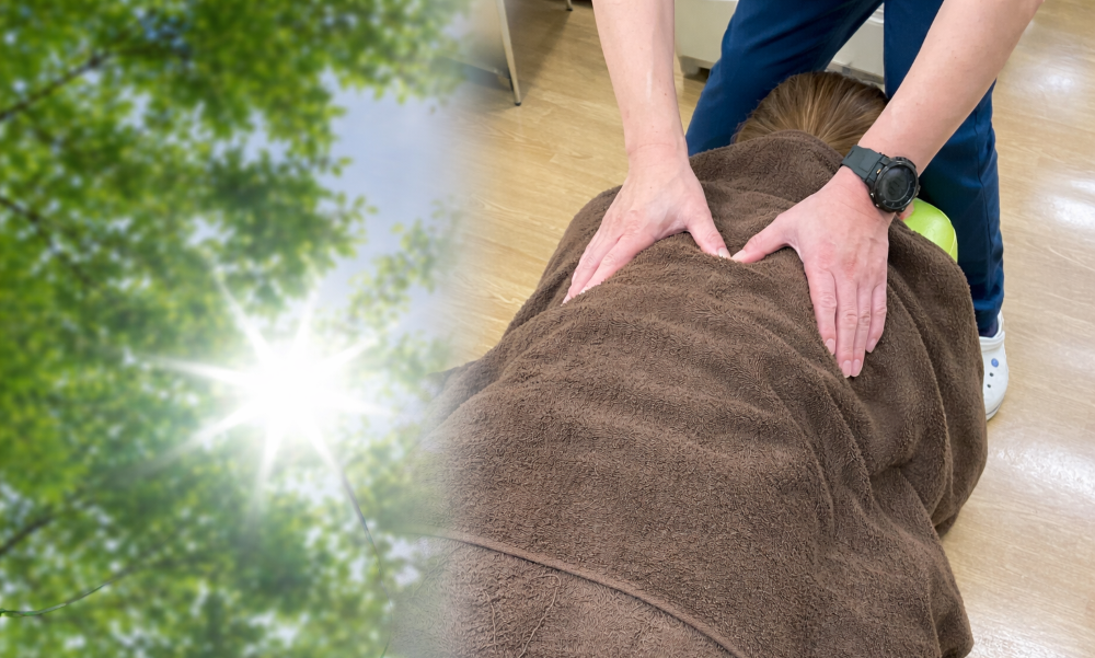 赤羽 浮間舟渡 うつぎ接骨院｜接骨院 北赤羽 リハビリ 交通事故